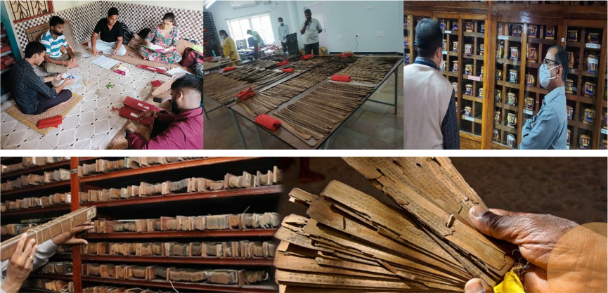 Survey and Cataloguing